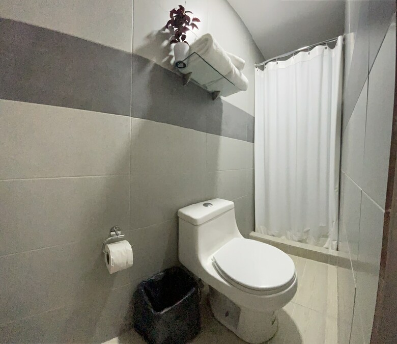 Hotel Plaza Regina Torre�n