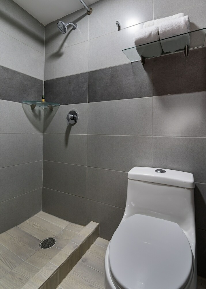 Hotel Plaza Regina Torre�n