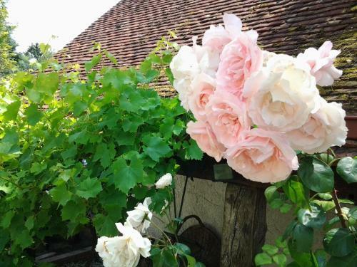 Bed & Breakfast La Closerie Du Bucher