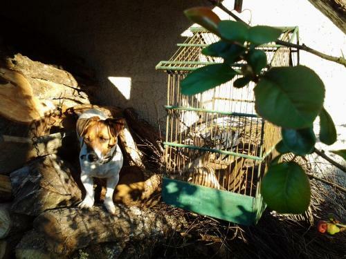 Bed & Breakfast La Closerie Du Bucher