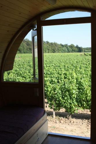 Les Sens De La Terre