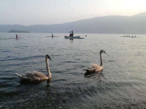 Bed & Breakfast Il Castello