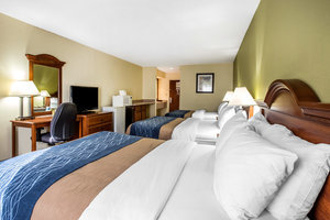 Hotel Comfort Inn Darien