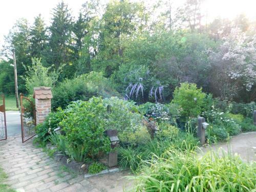 Bed & Breakfast Hannas Landhaus