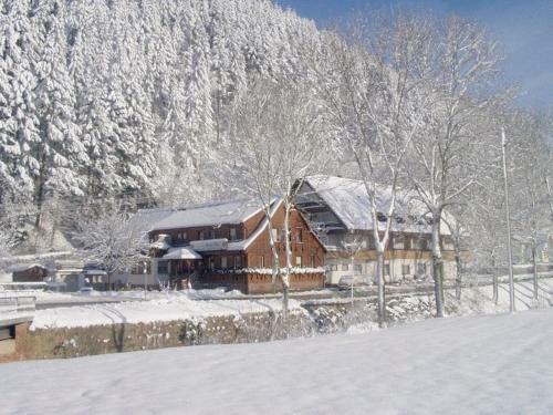 Hostal Gr�ner Hof