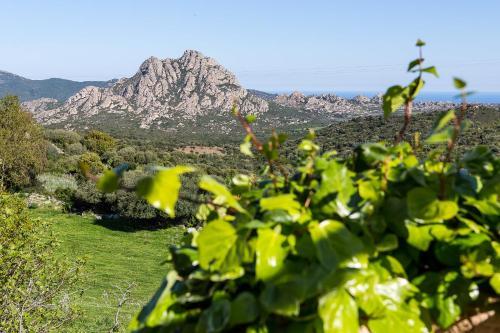 Hotel Relais De Saleccia