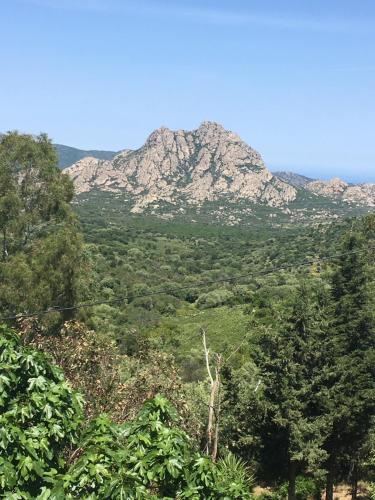 Hotel Relais De Saleccia