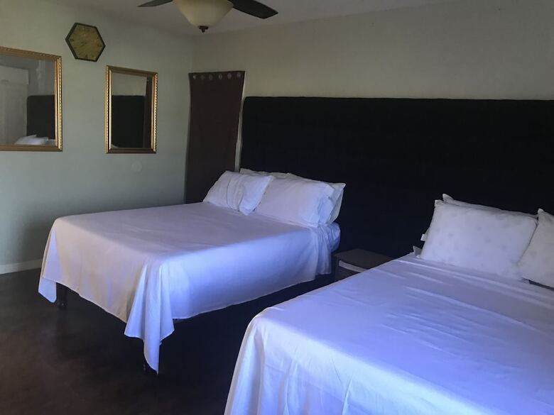 Apartamentos Abacus Jamaica The Zana Suite