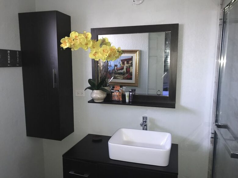 Apartamentos Abacus Jamaica The Zana Suite