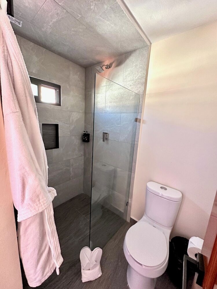 Hotel Suites Del Jardin Principal