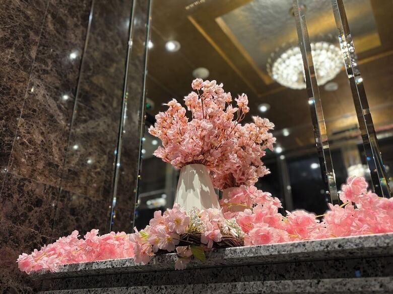Apa Hotel Tokyo Nishikasai Ekimae