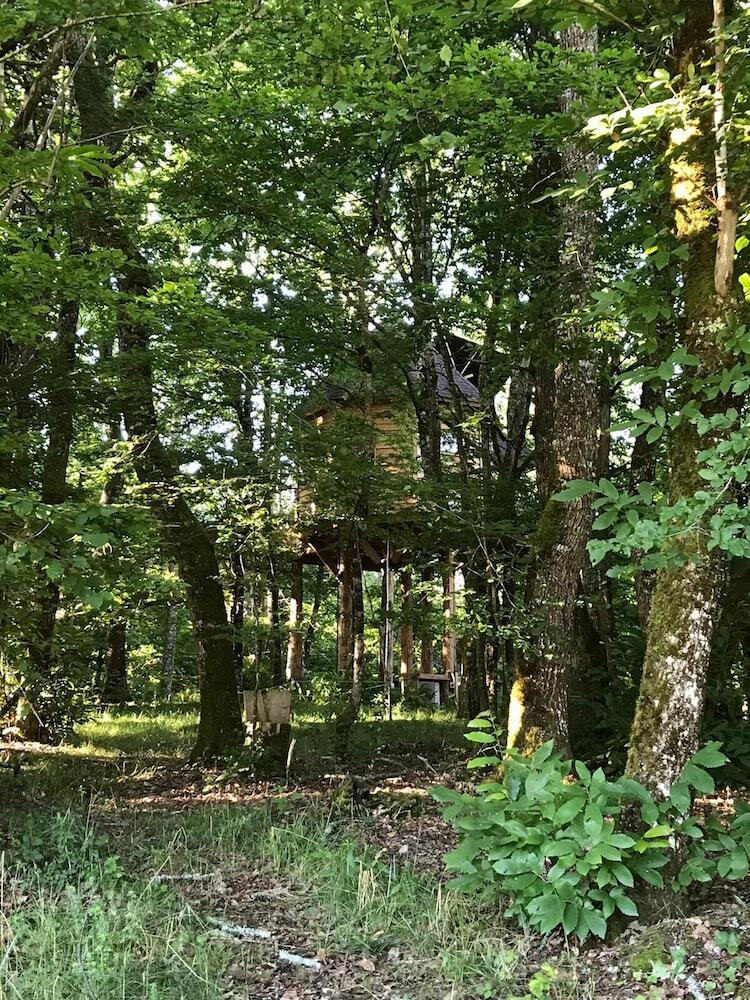 Les Cabanes Perch�es Du Mas Del Bosc