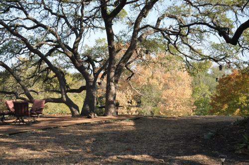 The Palette Pad At Scurlock Farms
