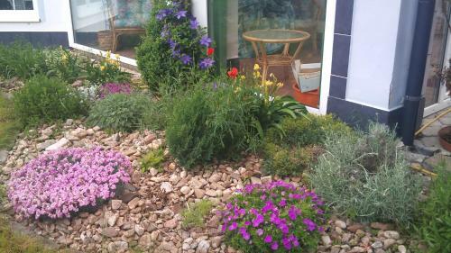 Homestay Kucha?ovice