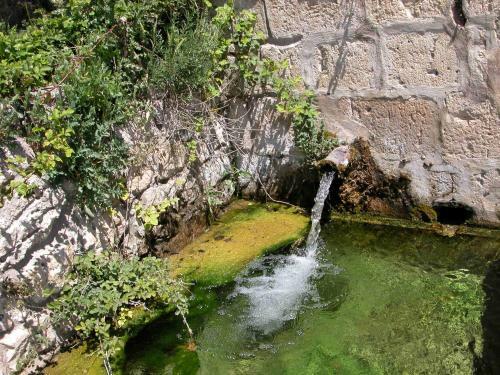 Agroturismo Centro San Pelayo