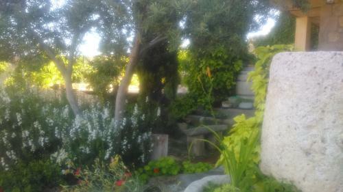 Agroturismo Centro San Pelayo