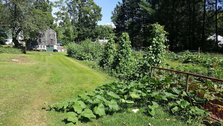 The Farmstand Bed & Breakfast