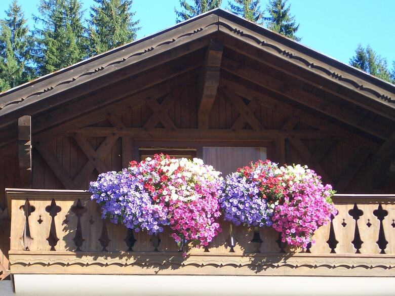 Alpennaturidyll