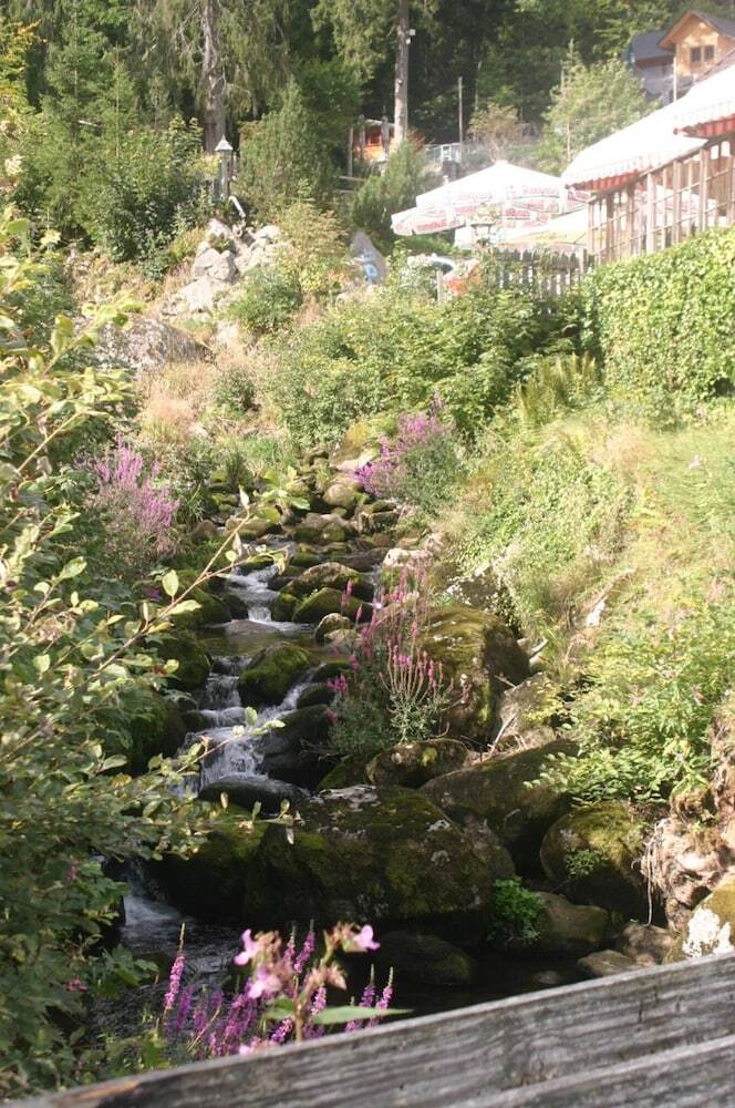 Hotel G�stehaus Zur Lilie