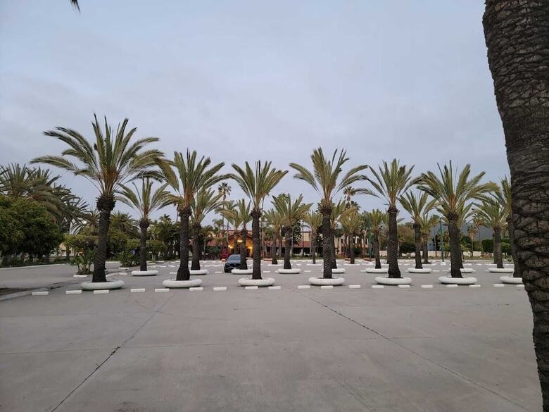 Hotel Para�so Las Palmas