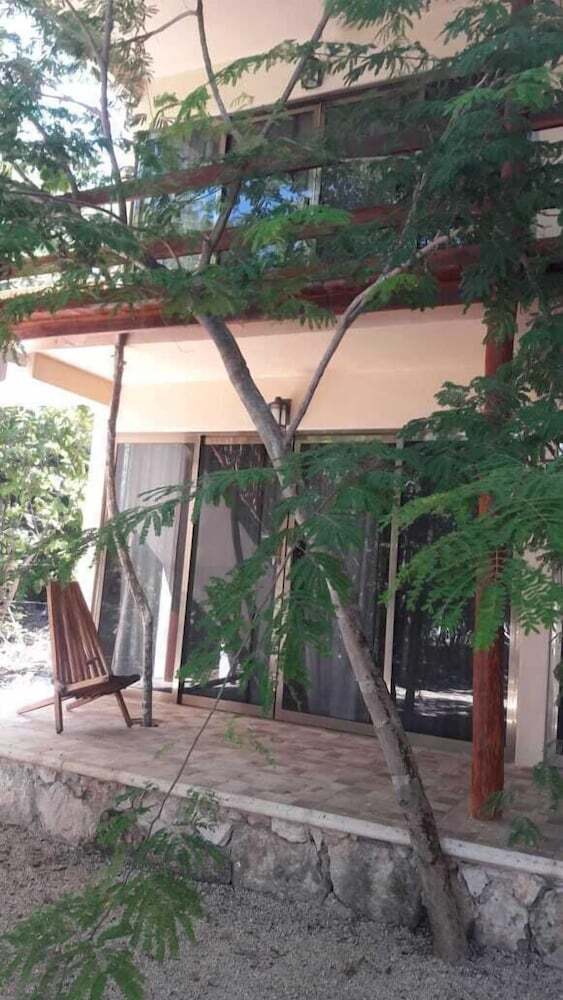 Hotel Iguana Rana Cabins Bacalar