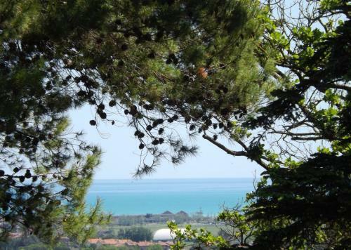 Bed & Breakfast Casa Per Ferie Collesereno