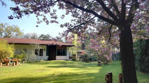 B&B Il Giardino Delle Cince