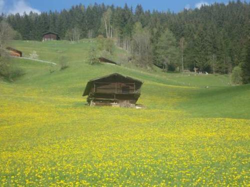 Apartamento Appartementhaus Eberharter