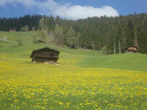 Apartamento Appartementhaus Eberharter