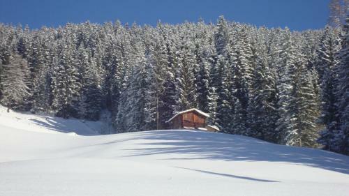 Apartamento Appartementhaus Eberharter