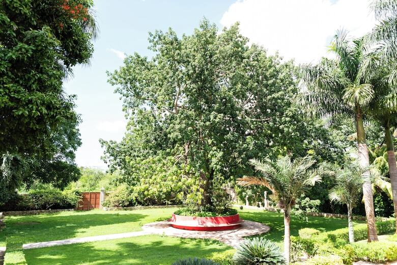 Hotel Hacienda Yabucu