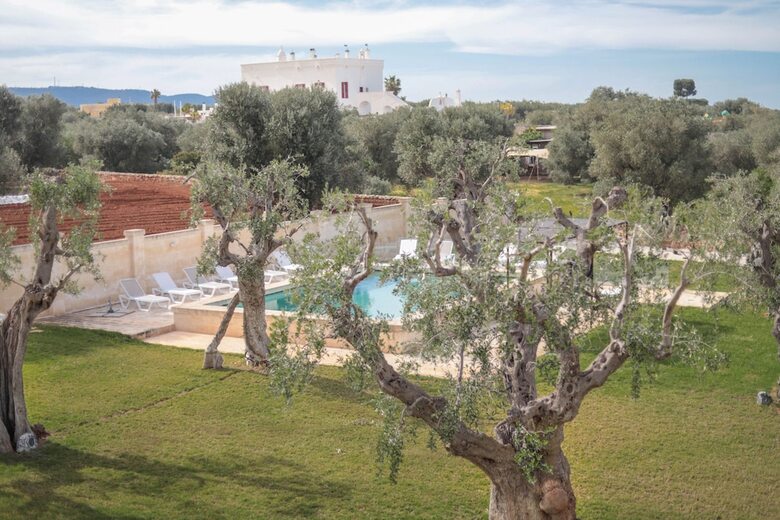 Bed & Breakfast Casale Degli Ulivi
