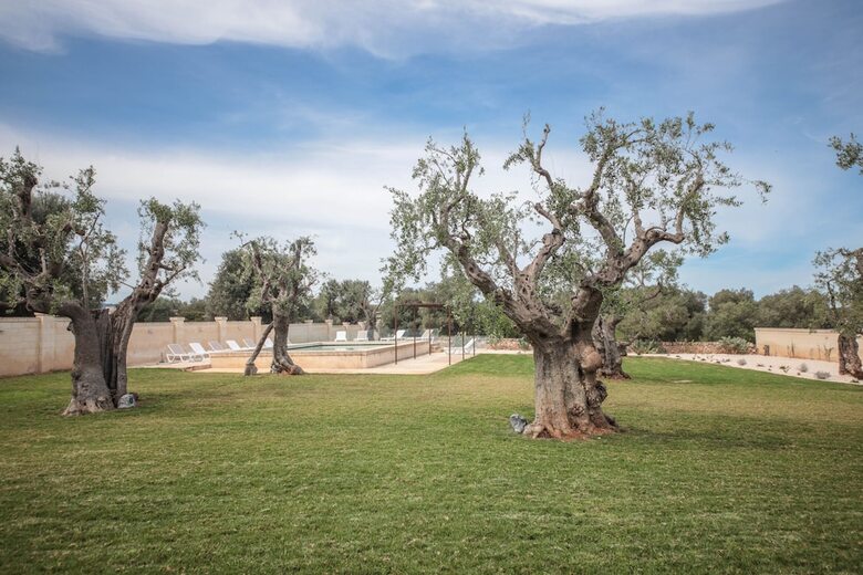 Bed & Breakfast Casale Degli Ulivi