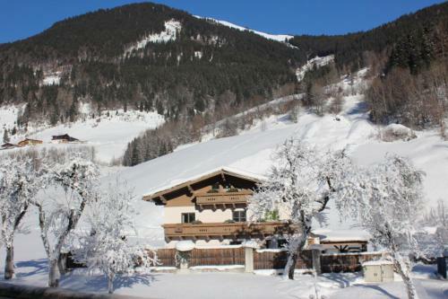 Apartamento Haus Burgi