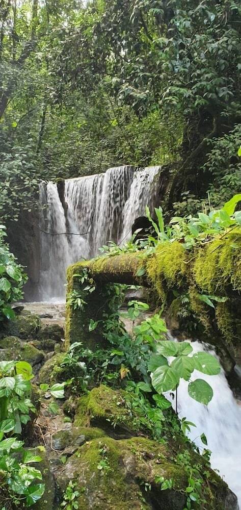 Hotel Finca Santa M�nica