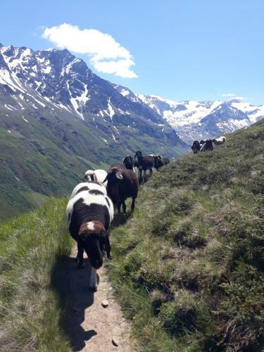 Apartamento Berg-juwel