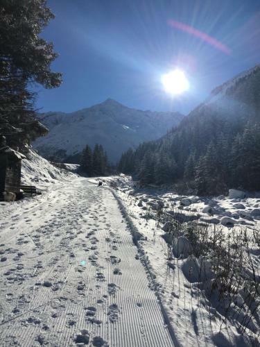 Apartamento Pension Alpin