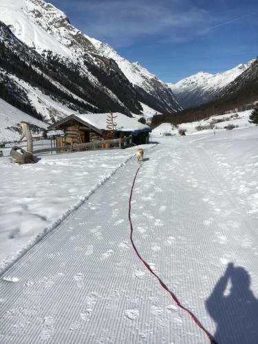 Apartamento Pension Alpin