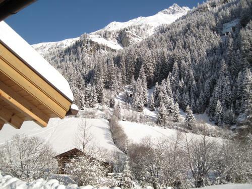 Apartamento Appartement Alpina