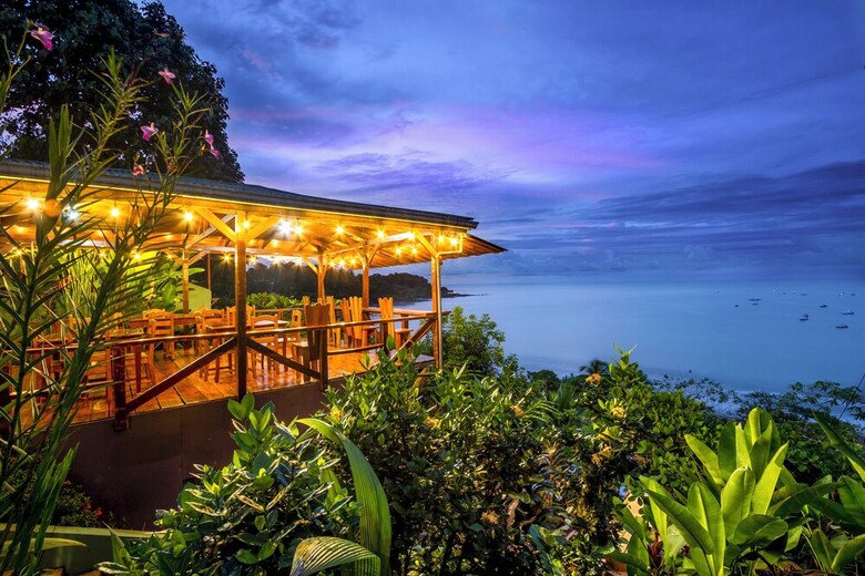 Cotingas Ocean View