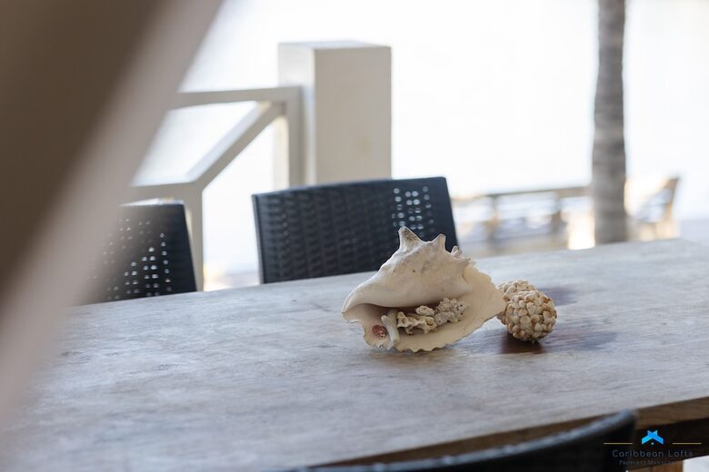 Apartamentos Caribbean Lofts Bonaire