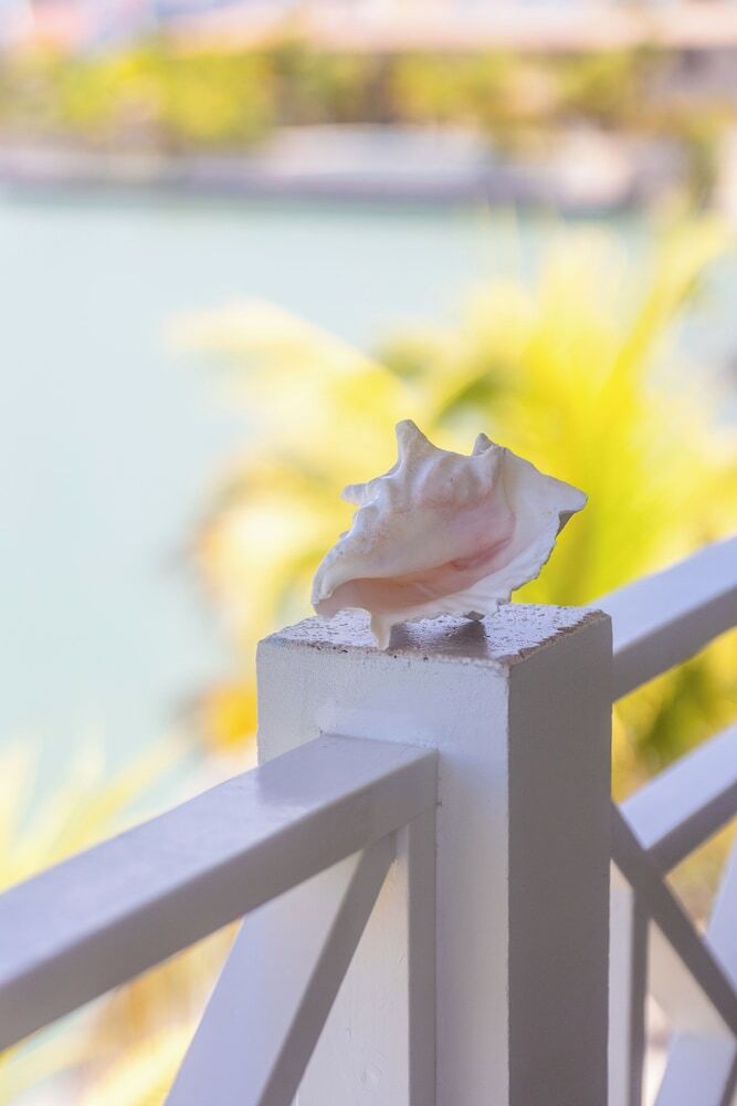 Apartamentos Caribbean Lofts Bonaire