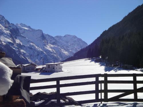 Apart Alpinea