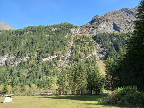 Apartamento Haus Waldfriede