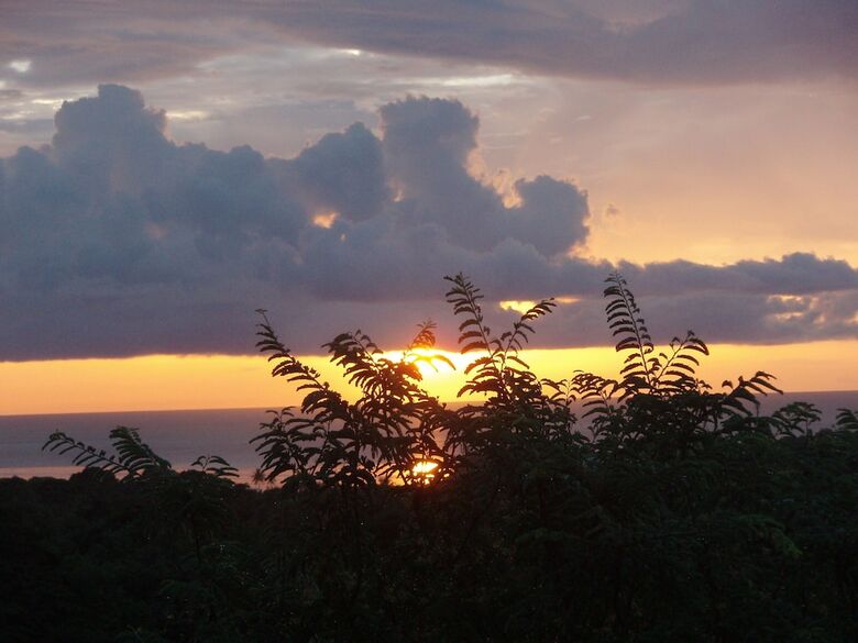 The Nest Tobago Apartments