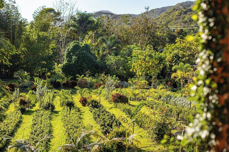 Portales Del Tayrona Garden Hotel