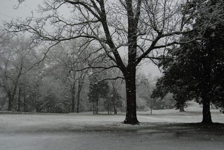 The Colonels B&B And Inn
