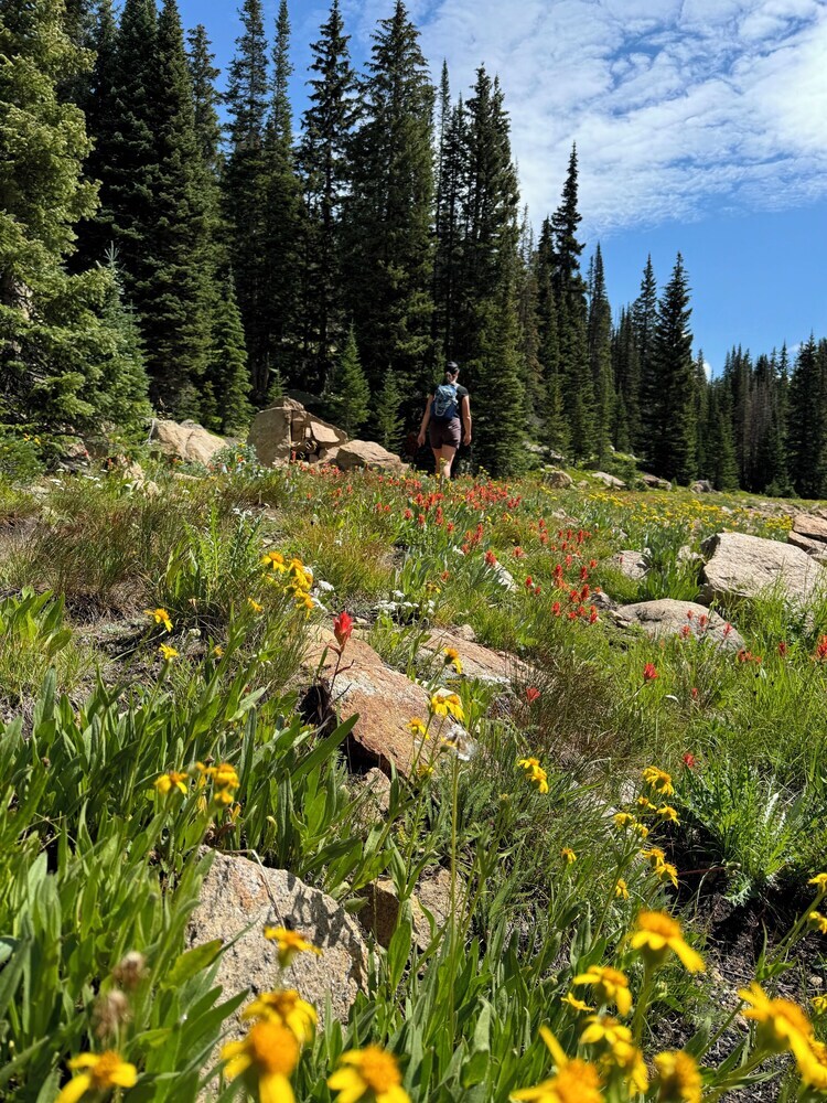 Aparthotel Silver Mill 8298