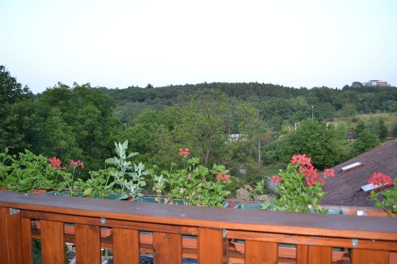 Pension Penzion Levandule