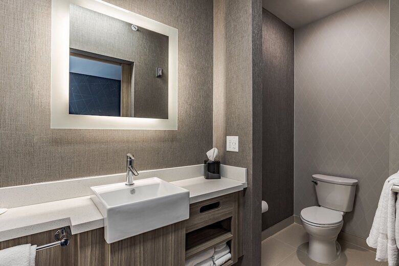 Hotel Springhill Suites By Marriott Detroit Sterling Heights